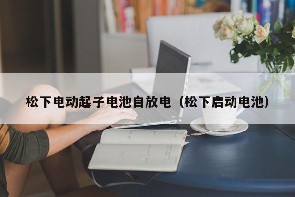 松下电动起子电池自放电（松下启动电池）