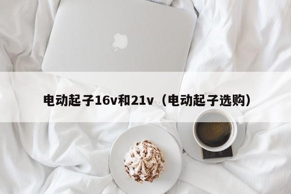 电动起子16v和21v（电动起子选购）