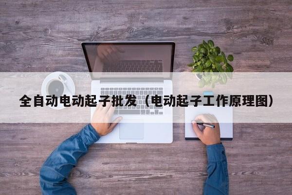 全自动电动起子批发（电动起子工作原理图）
