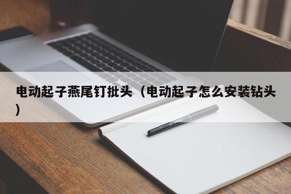 电动起子燕尾钉批头（电动起子怎么安装钻头）