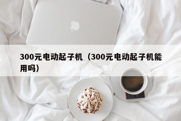 300元电动起子机（300元电动起子机能用吗）