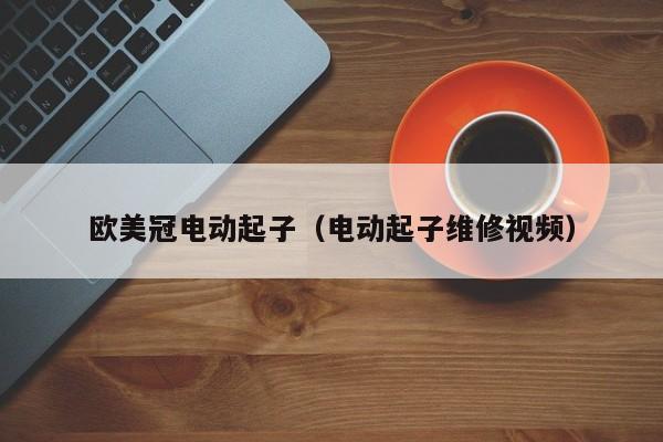 欧美冠电动起子（电动起子维修视频）
