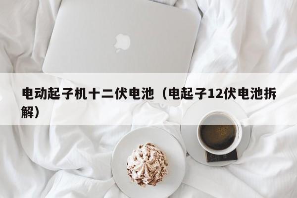 电动起子机十二伏电池（电起子12伏电池拆解）