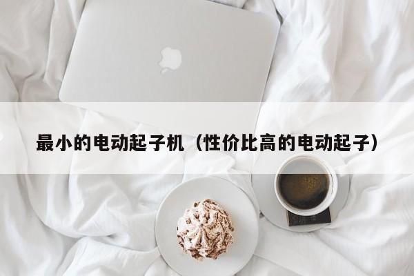 最小的电动起子机（性价比高的电动起子）