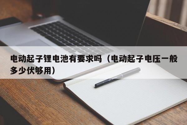 电动起子锂电池有要求吗（电动起子电压一般多少伏够用）