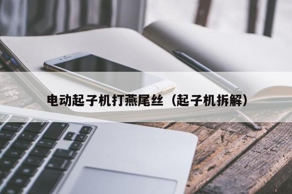 电动起子机打燕尾丝（起子机拆解）