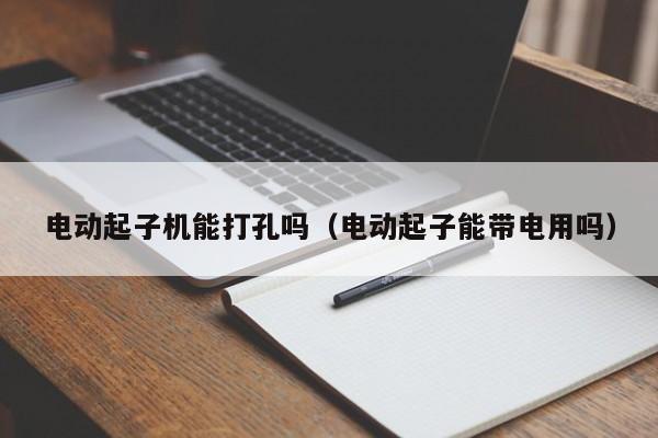 电动起子机能打孔吗（电动起子能带电用吗）
