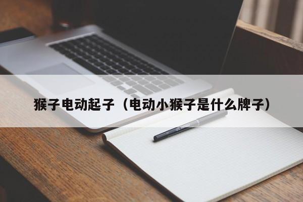 猴子电动起子（电动小猴子是什么牌子）