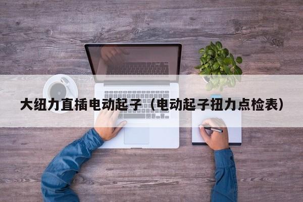 大纽力直插电动起子（电动起子扭力点检表）