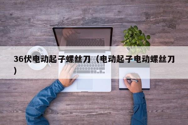 36伏电动起子螺丝刀（电动起子电动螺丝刀）