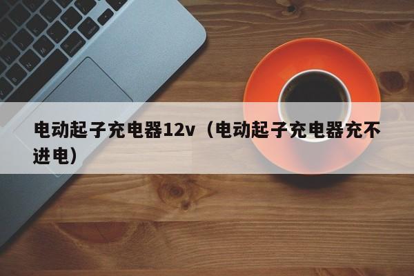 电动起子充电器12v（电动起子充电器充不进电）