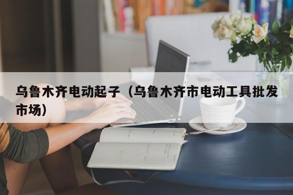 乌鲁木齐电动起子（乌鲁木齐市电动工具批发市场）